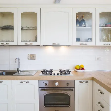 Myrsine 7d - Klodge *