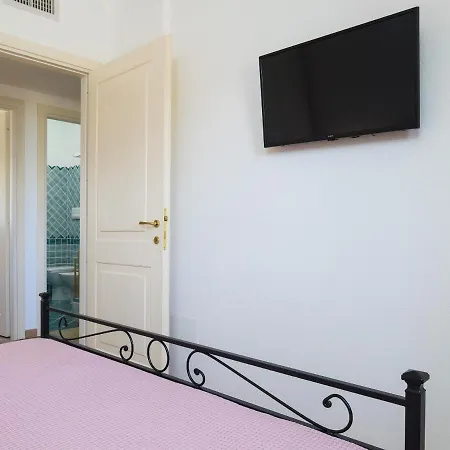 Myrsine 7d - Klodge Murta Maria