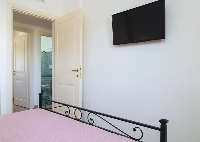 Myrsine 7d - Klodge Murta Maria